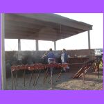 Cooking On Pitchforks.jpg